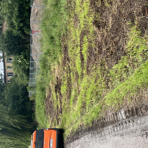 IMG_2519.jpeg